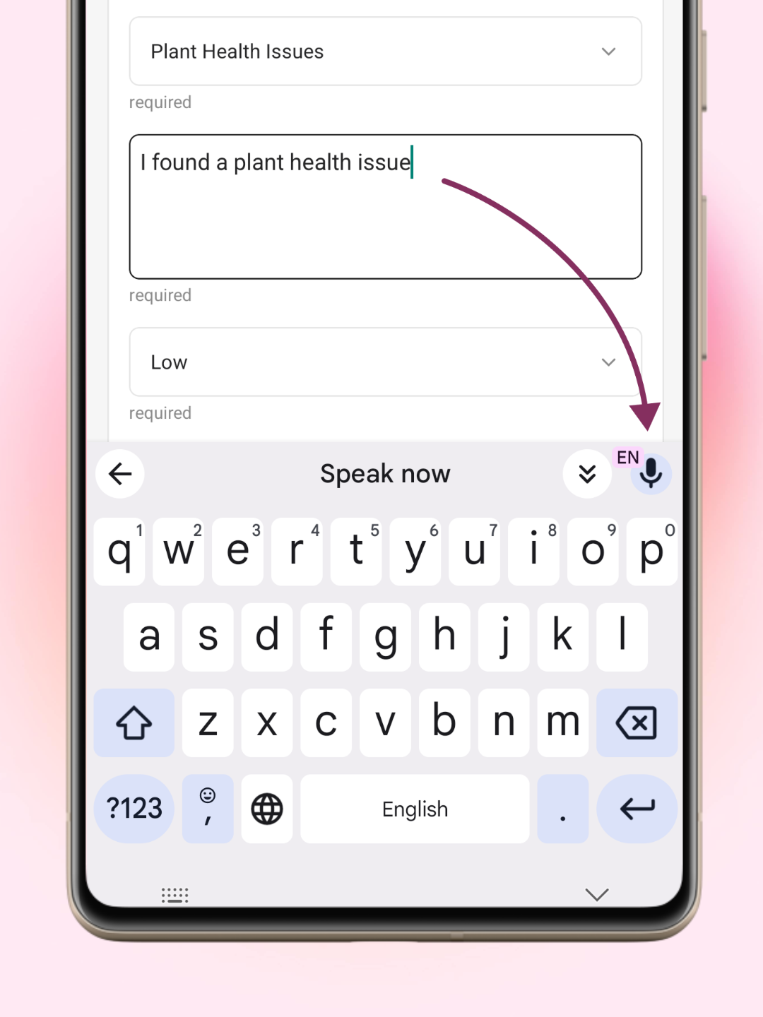 Describe Issue with Voice